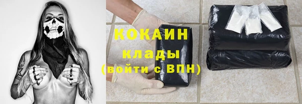 хмурый Алзамай
