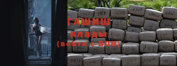 хмурый Алзамай