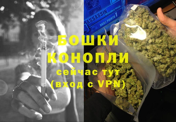 сатива Алексеевка