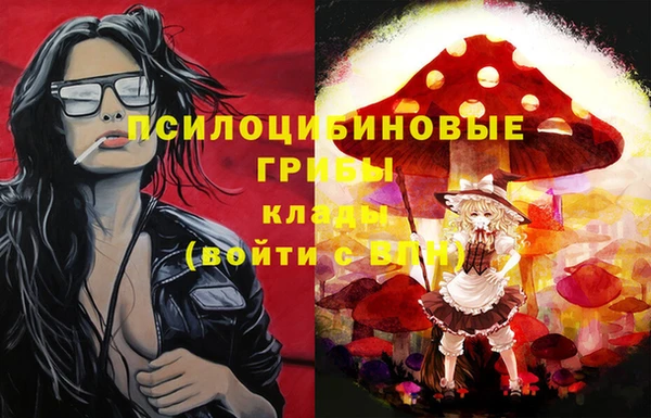 хмурый Алзамай