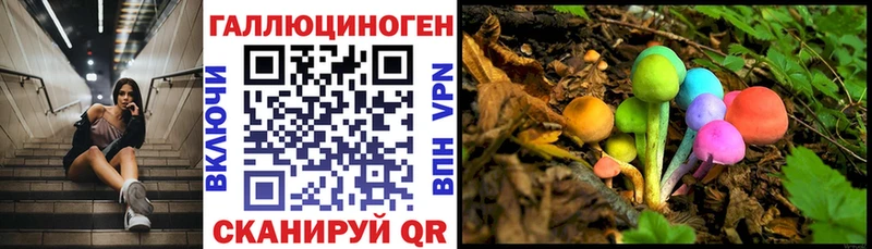 Псилоцибиновые грибы Psilocybe  ссылка на мегу ССЫЛКА  Жирновск  закладка 